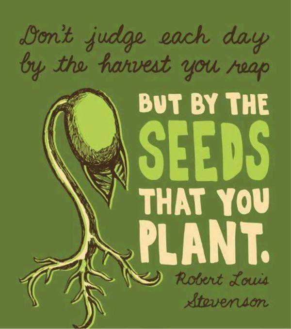Robert Louis Stevenson: "Don't judge each day by the harvest you reap but by the seeds that you plant."